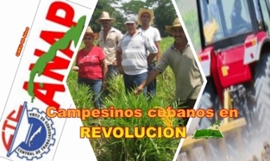 Campesinos santiagueros en la producción de alimentos para el pueblo.