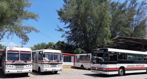 Omnibus urbanos a disposición del transporte de los trabajadores de centros claves en la producción y los servicios
