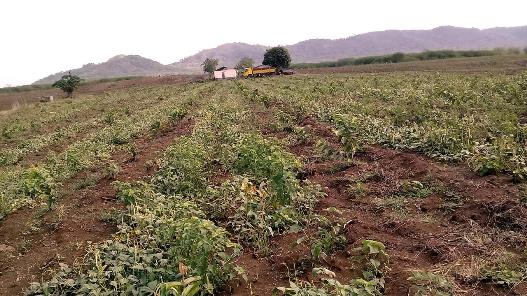 Se enciende Polo Productivo La Güira, en Comecará, III Frente