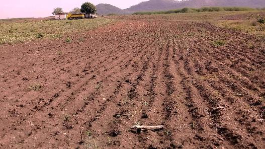 Se enciende Polo Productivo La Güira, en Comecará, III Frente