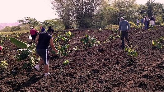 Se enciende Polo Productivo La Güira, en Comecará, III Frente