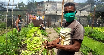 Eloyde Moya Verdecia, el Padre junto a su familia abastecen con verduras buena parte del reparto urbano Altamira de Santiago de Cuba. Foto: Santiago Romero Chang.