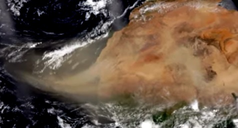 Nubes de polvos del Sahara Occidental impactan sobre el Caribe.