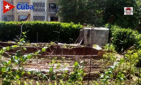 Agricultura Suburbana en el municipio Palma Soriano de la provincia Santiago de Cuba. Foto: Gleydis Sigas Pérez.