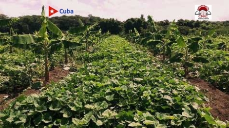 Hasta la madre naturaleza premia el esfuerzo