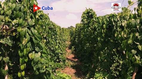 Hasta la madre naturaleza premia el esfuerzo