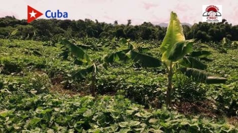 Hasta la madre naturaleza premia el esfuerzo