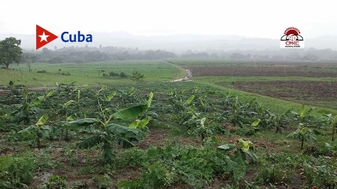 Hasta la madre naturaleza premia el esfuerzo